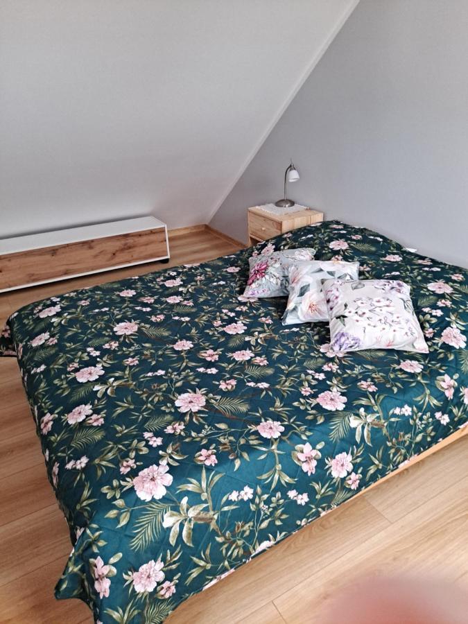 Jelonek Apartment